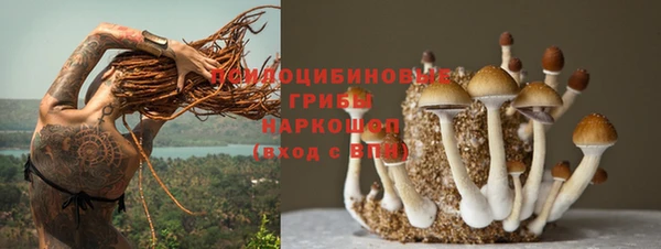 спиды Каменка