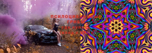 спиды Каменка