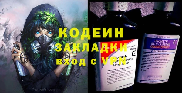 индика Иннополис