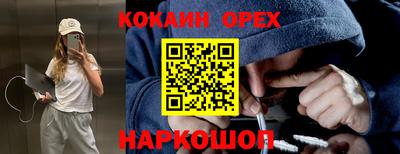 гашик Кимры