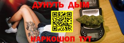 молекула духа Кингисепп