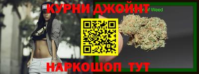 молекула духа Кингисепп