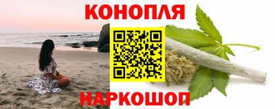 молекула духа Кингисепп