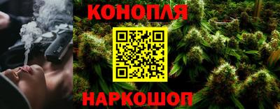 молекула духа Кингисепп