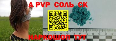молекула духа Кингисепп
