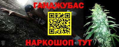 молекула духа Кингисепп