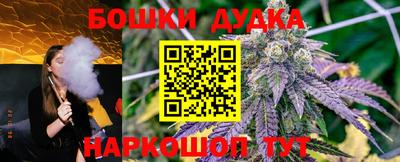 молекула духа Кингисепп