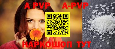 молекула духа Кингисепп