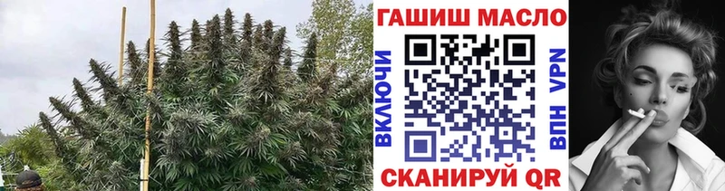 blacksprut зеркало  Кириши  Дистиллят ТГК вейп с тгк 
