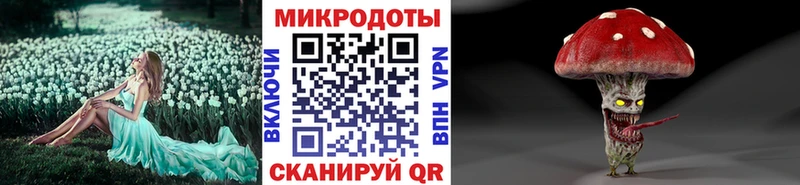 Псилоцибиновые грибы мицелий  Кириши 