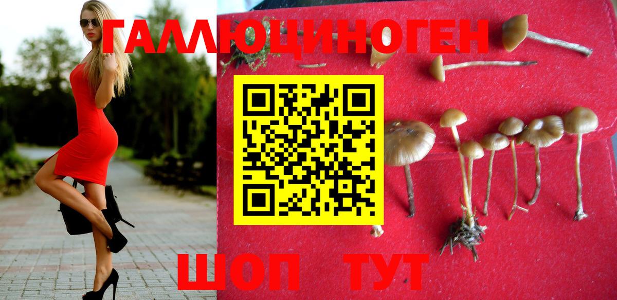 Кириши  Псилоцибиновые грибы GOLDEN TEACHER  Вход с VPN  Галлюциногенные грибы Psilocybine cubensis 