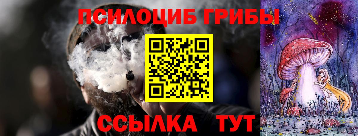 Галлюциногенные грибы Cubensis Кириши